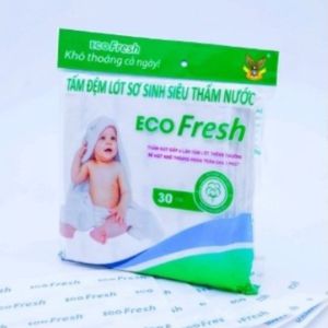 TẤM ĐỆM LÓT SƠ SINH SIÊU THẤM NƯỚC ECO FRESH